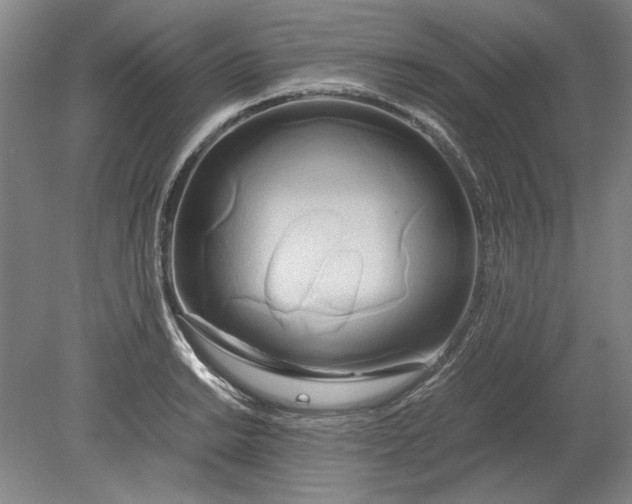 X0000080801038200701021245
