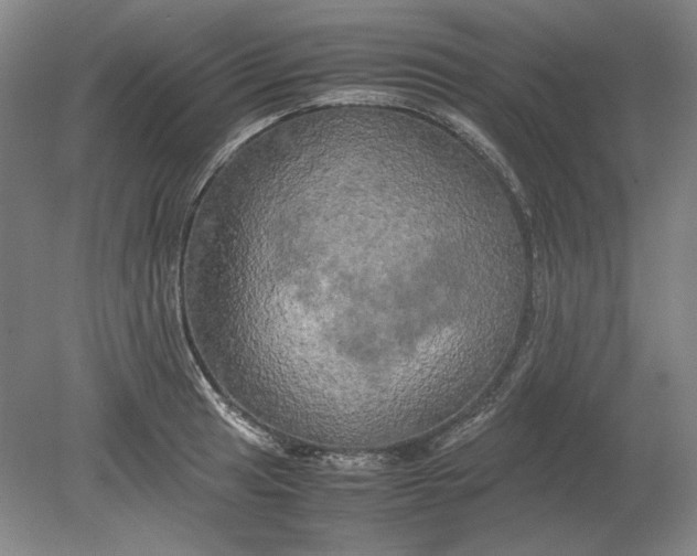 X0000080801041200701021245