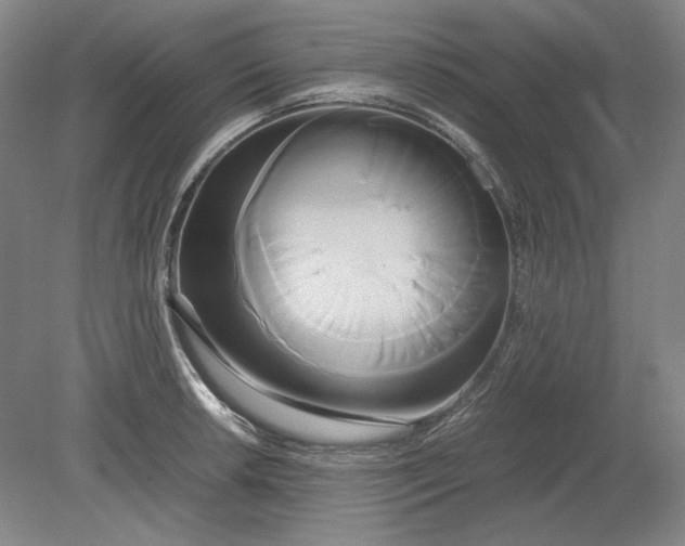X0000080801042200701021245