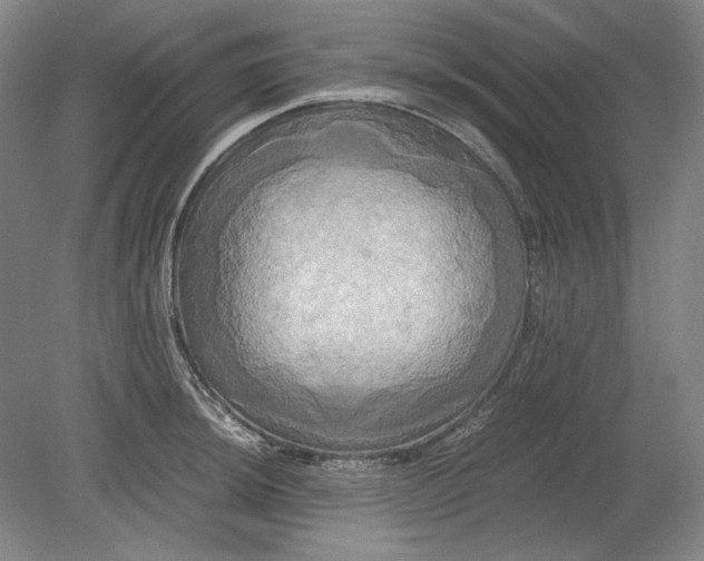 X0000080801044200701021245