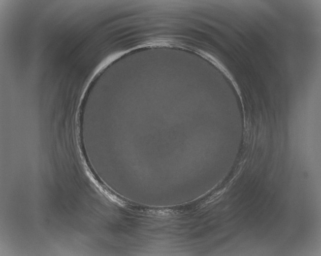 X0000080801045200701021245