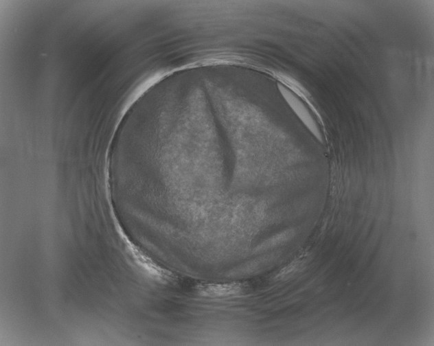 X0000080801047200701021245