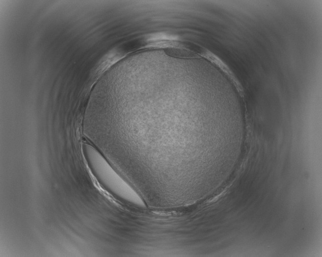 X0000080801049200701021245