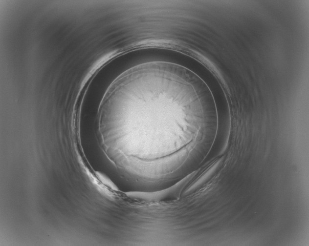 X0000080801050200701021245