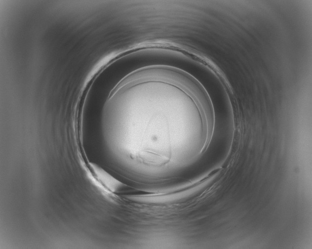 X0000080801054200701021245
