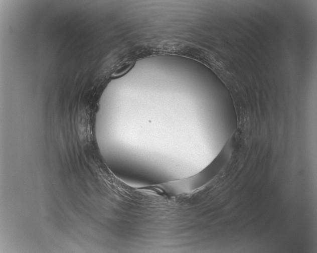 X0000080801058200701021244