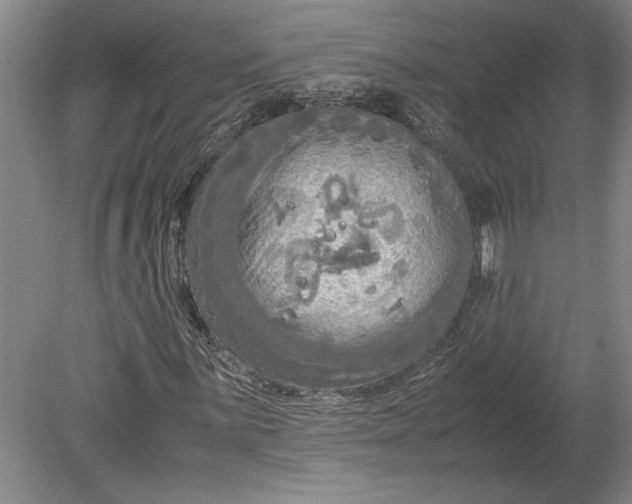 X0000080801059200701021244