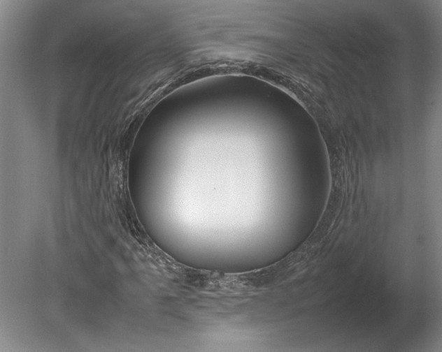 X0000080801061200701021244