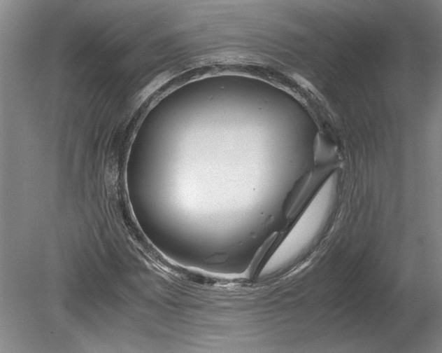 X0000080801065200701021244
