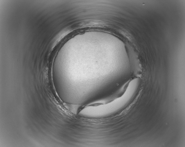 X0000080801066200701021244