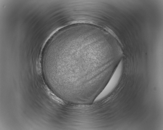 X0000080801068200701021244