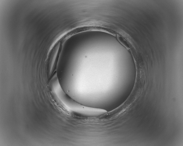 X0000080801069200701021244