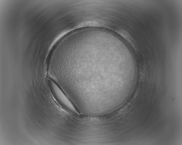 X0000080801070200701021244
