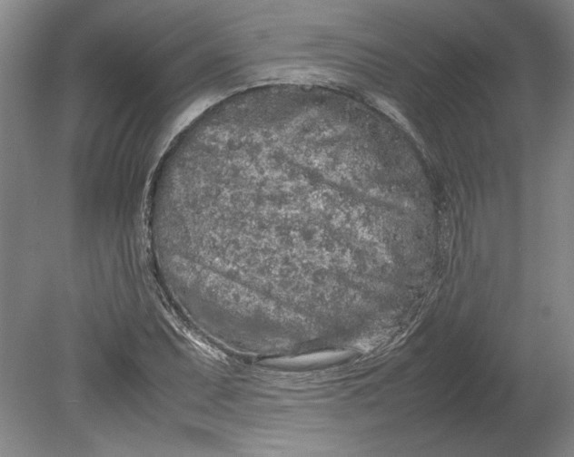 X0000080801071200701021244