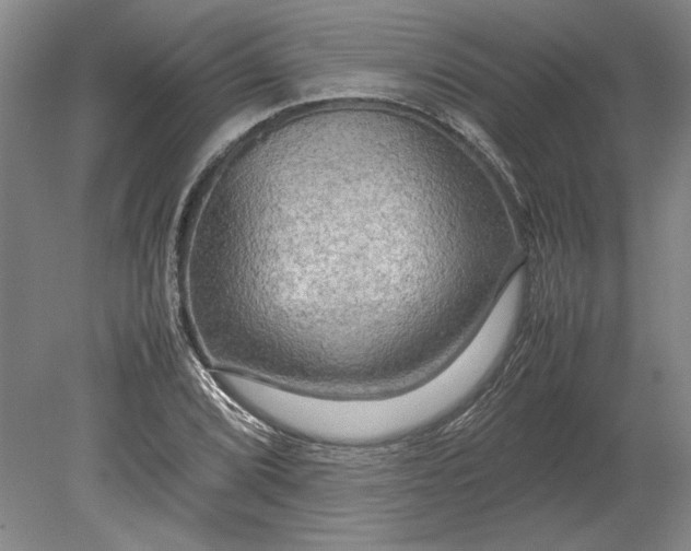 X0000080801072200701021244