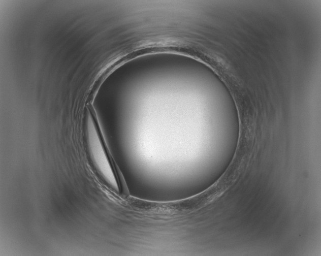 X0000080801073200701021244