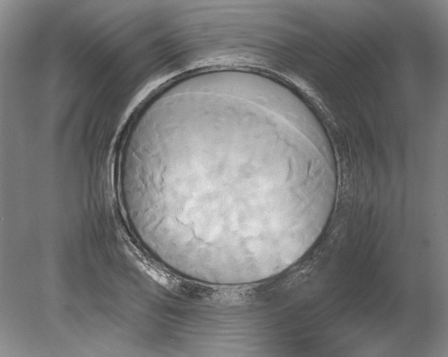 X0000080801078200701021244