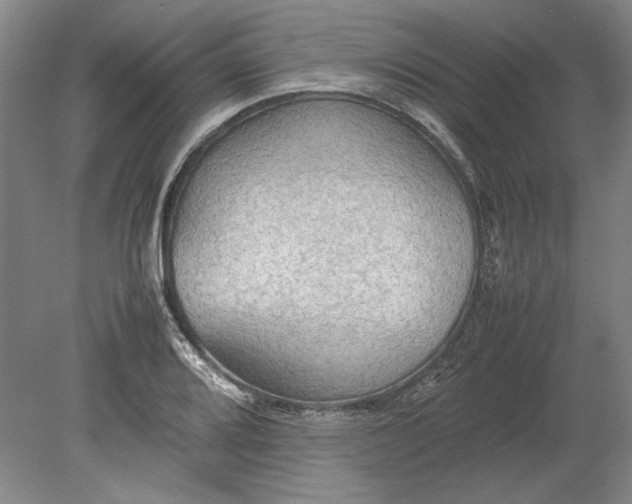X0000080801080200701021244