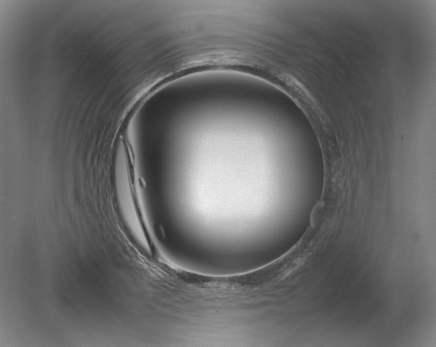 X0000080801081200701021244