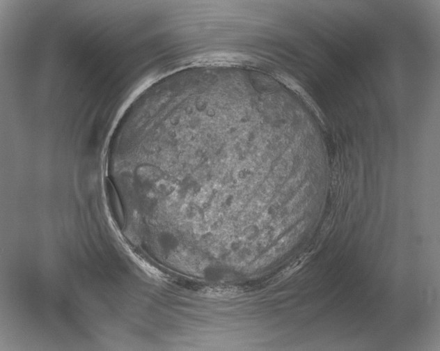 X0000080801083200701021244
