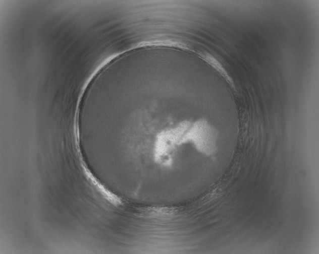 X0000080801084200701021244