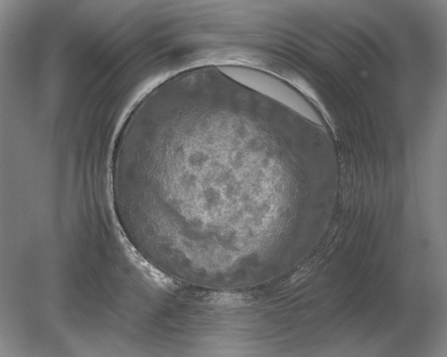 X0000080801088200701021243