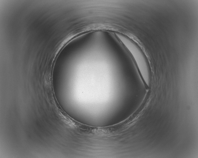 X0000080801089200701021243