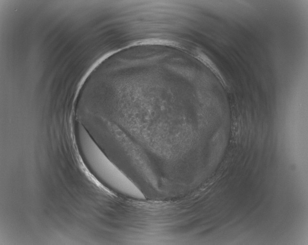 X0000080801092200701021243