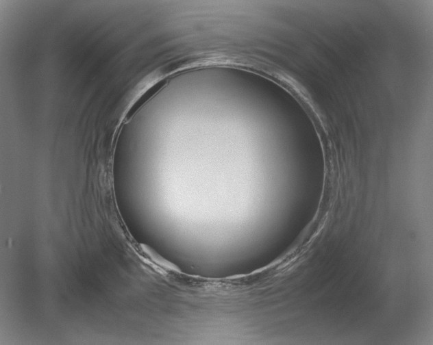 X0000080801097200701021243