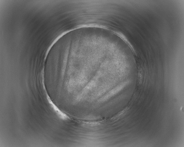 X0000080801100200701021243