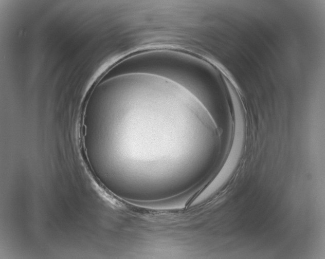 X0000080801101200701021243