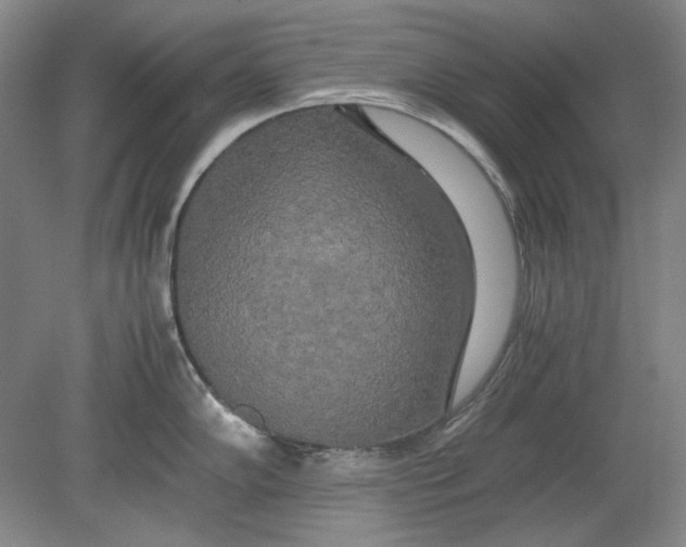 X0000080801102200701021243