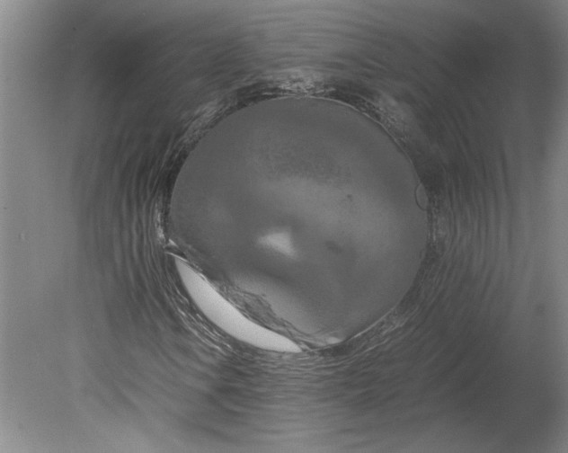 X0000080801106200701021242