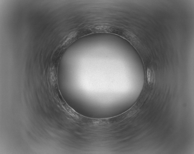 X0000080801107200701021242