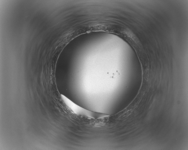 X0000080801111200701021243