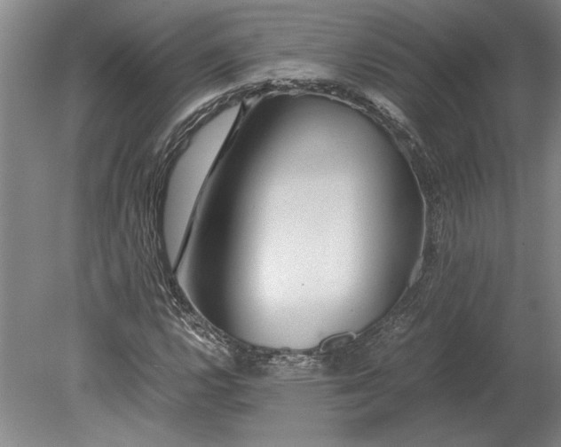X0000080801112200701021243