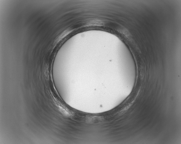 X0000080801113200701021243