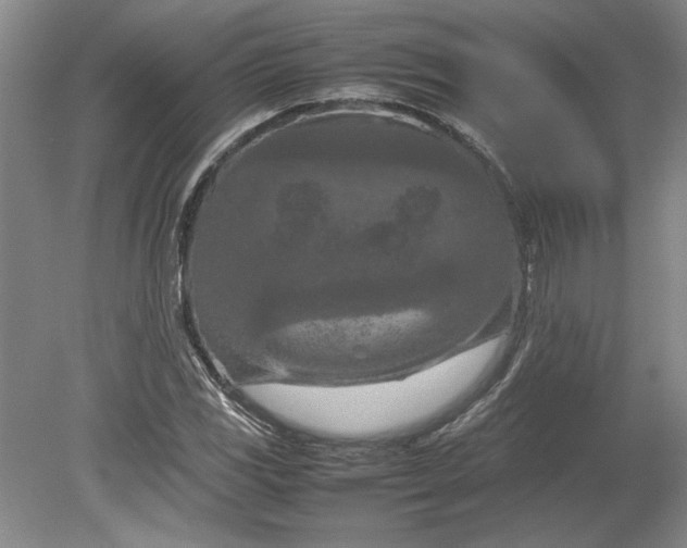 X0000080801117200701021243