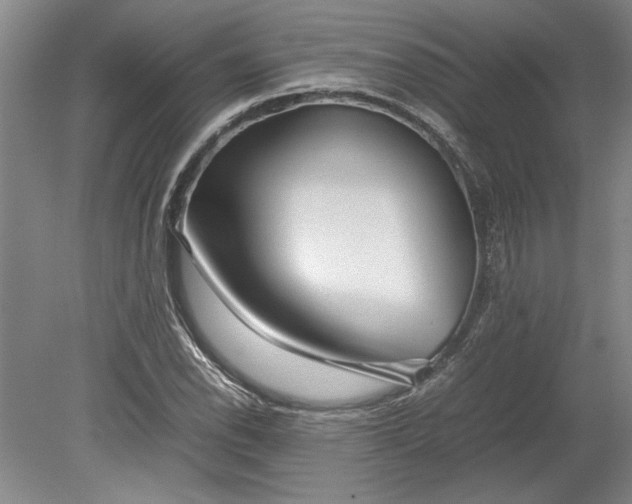 X0000080801118200701021243