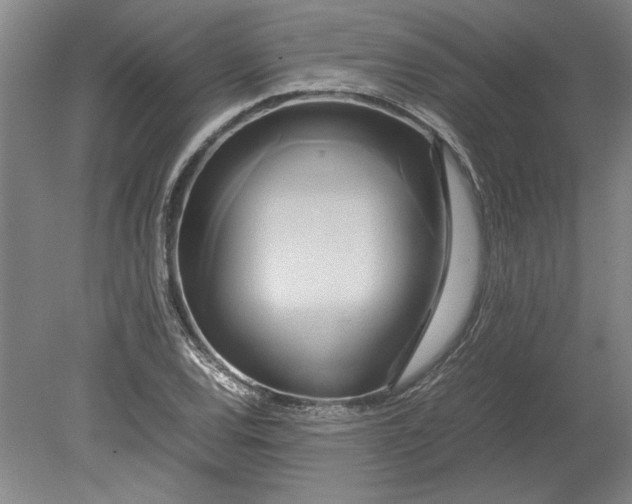 X0000080801120200701021243