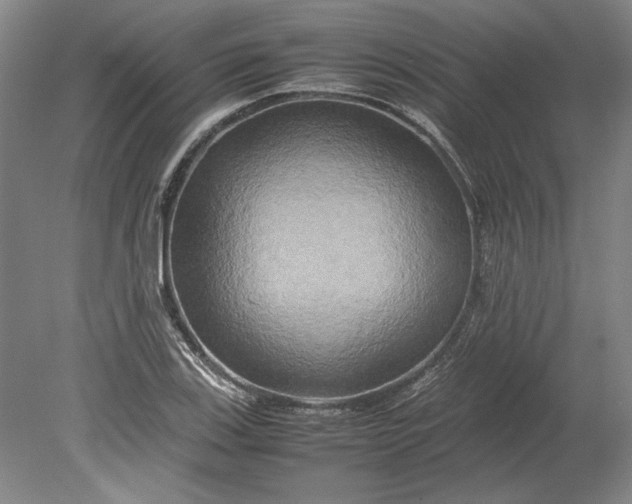 X0000080801123200701021243