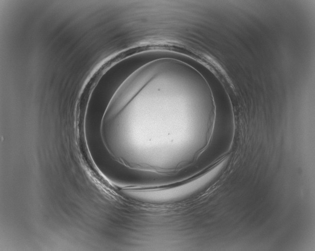 X0000080801124200701021243