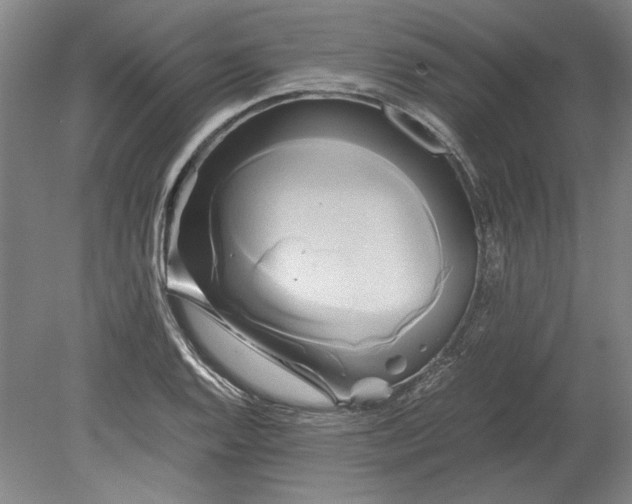X0000080801128200701021243