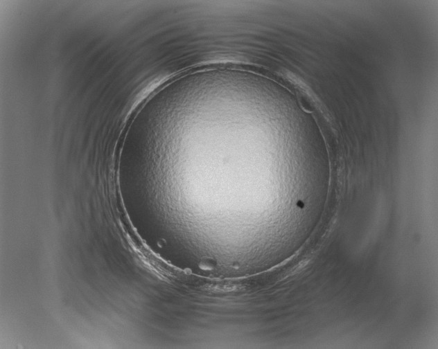 X0000080801129200701021243