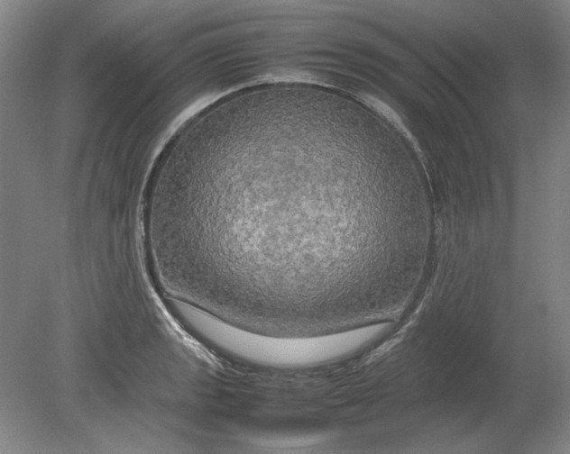 X0000080801133200701021243