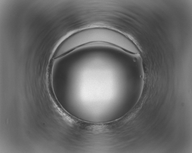 X0000080801134200701021243