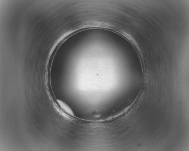 X0000080801136200701021243