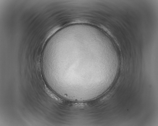 X0000080801137200701021243