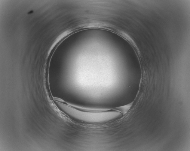 X0000080801138200701021243