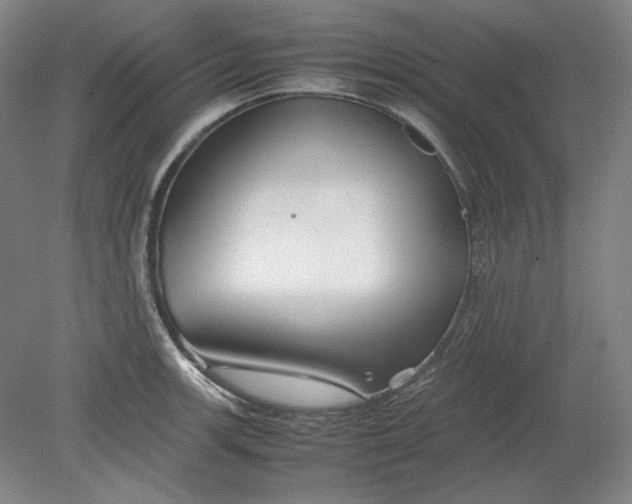 X0000080801139200701021243